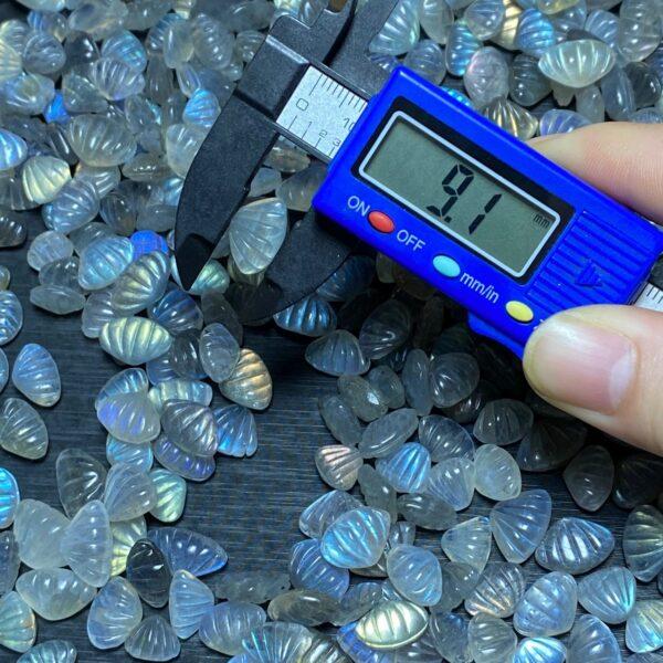 5 pcs / 10 pcs small shell shape natural moonstone charm bead - Image 3
