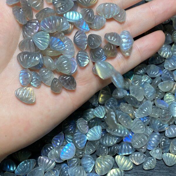 5 pcs / 10 pcs small shell shape natural moonstone charm bead - Image 7