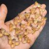 mermaid tail shape natural citrine bead sterling silver charm
