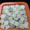 nephrite bead, Chinese knot bead, jade bead, green bead, high quality bead, genuine bead, natural bead